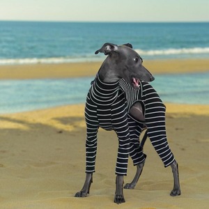 Mono personalizado de Ballet, ajustado, elástico, con rayas de calor, cuello alto, cálido, cómodo, para perros, ropa de invierno para mascotas, para <span class=keywords><strong>Galgo</strong></span> <span class=keywords><strong>Italiano</strong></span> - Product Image 6