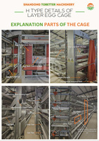 Équipement d'élevage en cages entièrement automatisé, système de cages à volailles à plusieurs niveaux pour la production d'œufs