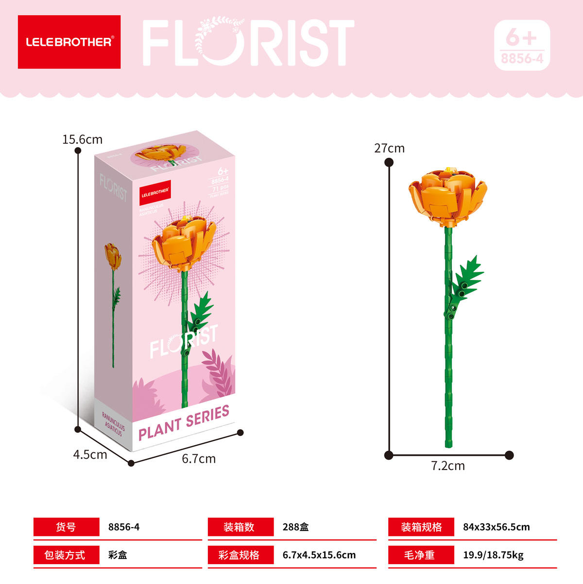 8856-4 Ranunculus  71PCS color box pack