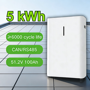 5kWh Low Voltage 51.2V Home <b>Energy</b> <b>Storage</b> <b>System</b> Wall-Mounted Household <b>System</b> - Product Image 4