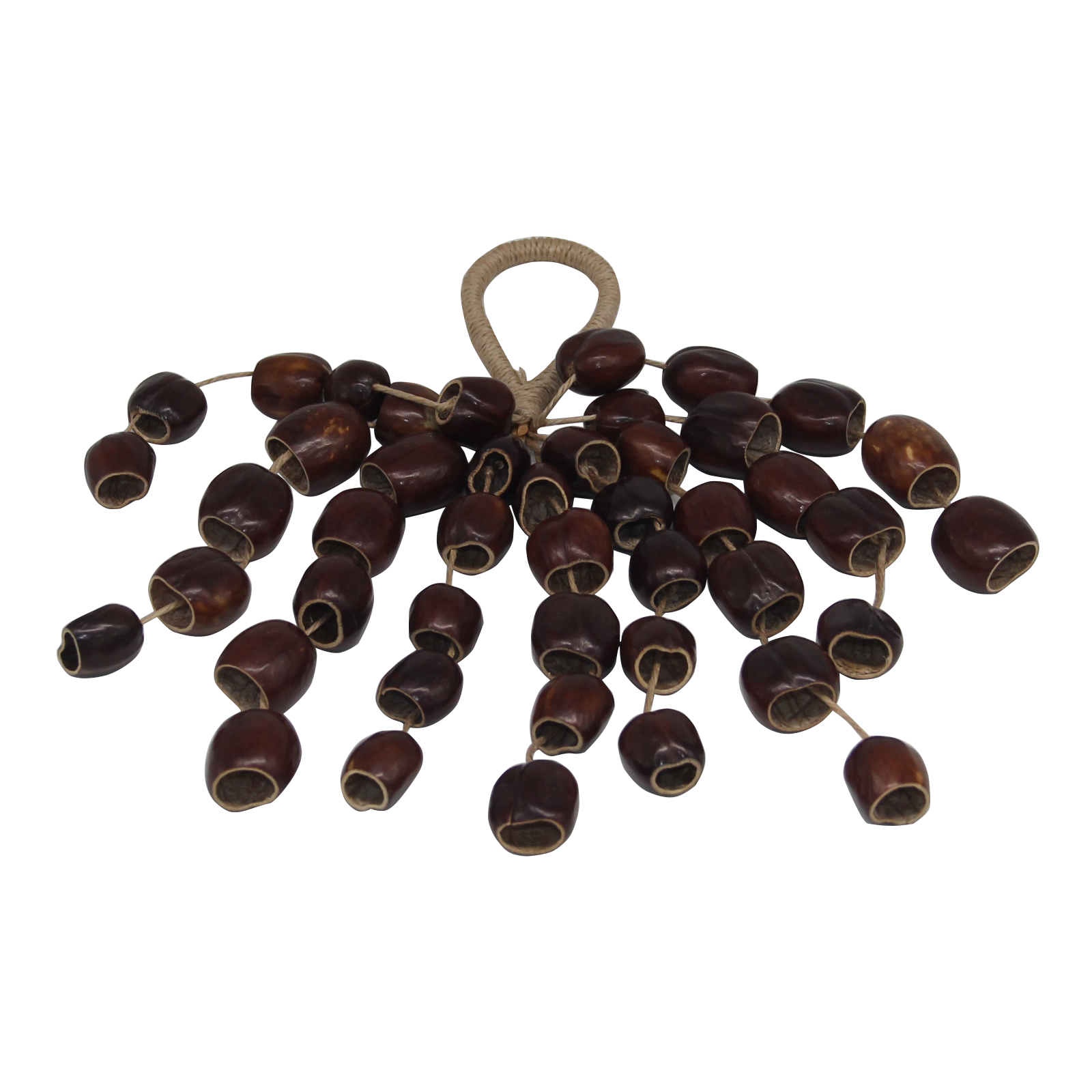 SW-45 Cardamomes fleuries