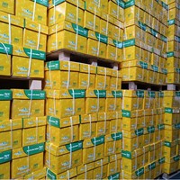 2024 gran oferta A4 papel Bond 80gsm copia de oficina 500 hojas Carta/tamaño legal papel de oficina blanco