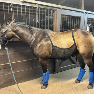 Bande de protection en maille pour ventre de cheval, réglable pour une utilisation en extérieur, en forme de U, en polyester, fournitures d'équipement équestre - Product Image 3