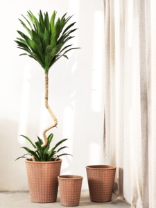 <span class=keywords><strong>Pot</strong></span> <span class=keywords><strong>de</strong></span> fleurs d'intérieur/extérieur <span class=keywords><strong>en</strong></span> bois et ciment, motif géométrique vintage nordique, <span class=keywords><strong>grand</strong></span> modèle, pieds <span class=keywords><strong>en</strong></span> forme <span class=keywords><strong>de</strong></span> bec <span class=keywords><strong>de</strong></span> canard - Product Image 1