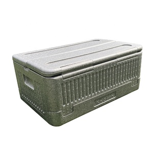 Venta al por mayor plegable ligero 40L aislamiento EPP espuma Chill Cooler Box con patrón de rayas térmico para almacenamiento de alimentos - Product Image 1