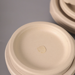 Vaisselle jetable biodégradable à l'huile Assiettes en papier Canne à sucre Sauce à la bagasse Desechables Platos Piatti Vajilla - Product Image 3