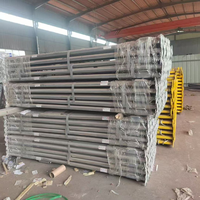 Puntales de Acero de Alta Resistencia para Construcción Industrial, Puntales Acrow que Brindan Soporte Duradero y Resistente a la Corrosión para Concreto