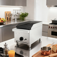 Gril à gaz commercial de 12 pouces avec pierres de lave, en acier inoxydable, pour comptoir, avec grilles durables en fonte, pour restaurant et barbecue