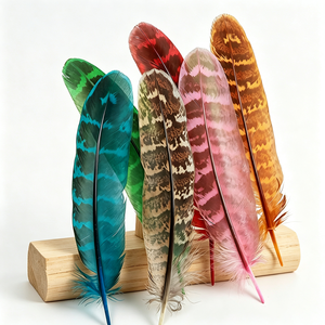 Plumes de faisan Ringnick colorées pour l'artisanat, l'embellissement de coiffes, les plumes cérémonielles, les accessoires de mariage et de festival - Product Image 3