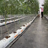 Sacs de culture hydroponique Cocopeat en plastique en gros avec impression de logo personnalisé