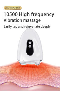 Appareil de beauté froid chaud Anti-rides Anti-âge peau raffermissant la Machine de levage du visage corps ciblé yeux visage cou dos masseur - Product Image 6