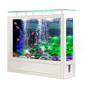 Acquario in Vetro Ultra Trasparente per Pesci Rossi con Partizione per Ingresso/Soggiorno - Product Image 4