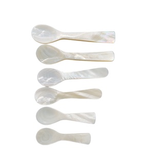 Cucchiai a Specchio in Madreperla Naturale di Lusso Artigianali, Ecologici, Lavabili in Lavastoviglie, Design Minimalista, Bianchi, per Spezie e Caffè - Product Image 1