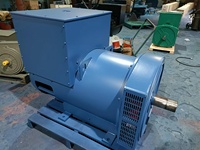 Générateur synchrone sans balais 240KW 250KW 260KW 280KW 300KW, Alternateur 240KW~550KW 240 Volts 50Hz 60Hz, Tête de générateur