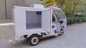 Điện thoại di động điện tủ Đông Ba Bánh Dành cho người lớn <span class=keywords><strong>3</strong></span> bánh xe chở hàng xe đạp <span class=keywords><strong>Ice</strong></span> <span class=keywords><strong>Cream</strong></span> xe đạp lạnh phòng lưu trữ <span class=keywords><strong>container</strong></span> cung cấp polyurethane - Product Image 2