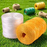 Cordel de Polipropileno para Empacadora, Longitud y Color Personalizables, Disponible en Rollos de 1kg~5kg, Cuerda Resistente para Empacar Heno y Paja