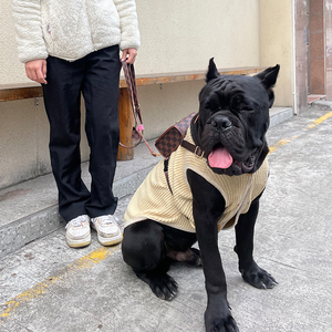 Arnés ligero cómodo de alta calidad para mascotas al aire libre, conjunto de collar de correa, arnés para perros pequeños y medianos - Product Image 4