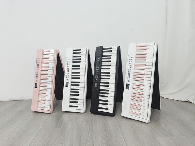88 Key Digital Piano Portable Electric Keyboard with USB/MIDI for Beginners Y-201