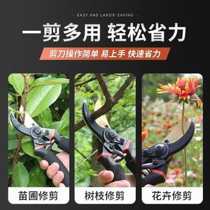 Sécateur de jardin robuste SK5 en acier inoxydable, cisaille bypass avec poignée antidérapante pour branches épaisses et arbres fruitiers - Product Image 5