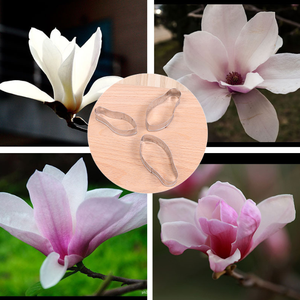 ชุดแม่พิมพ์ตัดฟองดองรูปดอกแมกโนเลีย3ชิ้นเครื่องมือทำน้ำตาลกัมเพสต์รูปดอกไม้ทำจากสแตนเลสเกรดพรีเมี่ยมสำหรับตกแต่งเค้ก - Product Image 1