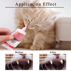 Fabricant chinois Shopify, ensemble de dentifrice pour animaux de compagnie à la saveur de <span class=keywords><strong>fromage</strong></span>, 2 brosses à dents pour chats - Product Image 5