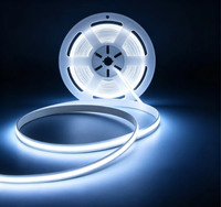 Bande LED 528-LED 10mm CRI 90+ 5m, double tension DC12V/24V, couleurs fidèles, ruban double couche pour chambre et meuble TV