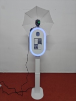 Photomaton iPad DSLR avec étui miroir ovale, machine à selfie amusante pour fêtes et mariages, photomaton iPad, pour accessoires d'événements