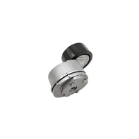 Ròng rọc căng dây curoa động cơ cho Mercedes-Benz LK / LN 2 ATEGO 9062004570