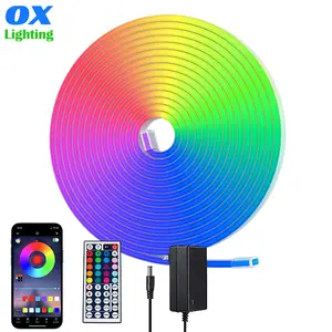 Rgb发光二极管霓虹灯柔性IP67防水多色音乐同步Rgb 12v Striscia Bande Cinta Luces Luz Tira发光二极管RGB霓虹灯带