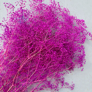 Venta al por mayor de fábrica: Gypsophila Million Star preservada, flor pequeña para ramo nupcial bohemio, relleno floral aéreo - Product Image 3