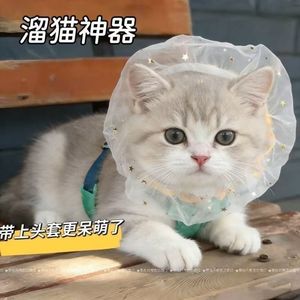 Collier d'entraînement en tissu souple pour chiens de petite race, modèle W3261, utilisable en toutes saisons - Product Image 1