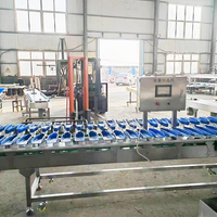 Rotatieband weegsorteermachine voor fruit, geschikt voor kersen, bosbessen, kiwi's, appels, granaatappels en zeevruchten.