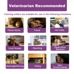 Collar Calmante para Perros a Prueba de Agua – Alivio de la Ansiedad con Feromonas 100% Naturales (Directo de Fábrica) - Product Image 6