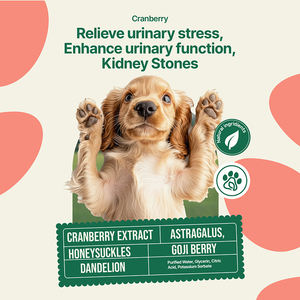 Suppléments nutritionnels OEMODM pour animaux de compagnie avec extrait de canneberge pour améliorer la fonction de la vessie <span class=keywords><strong>et</strong></span> de l'urine en gouttes liquides - Product Image 4