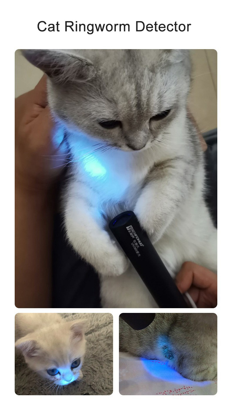 Uv 365nm Blacklight Flashlight Blacklight Portable Typec Usb