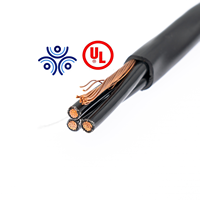 Câble ABC Triplex Isolation XLPE/PE Câble en aluminium aérien 0.6/1 Kv 2X4 AWG ASTM Fil électrique Câble ABC XLPE