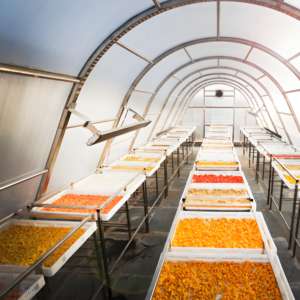 Poisson séchage Tunnel dôme <span class=keywords><strong>soleil</strong></span> séchoir solaire serre <span class=keywords><strong>soleil</strong></span> séchage solaire serre pour poisson fruits - Product Image 2