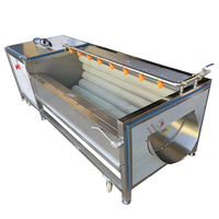 Hot-Selling Automatische Borstelwasmachine Voor Gember, Yam, Pinda-Groente-En Fruitreiniger Met Hoge Capaciteit Met Een Goede Prijs