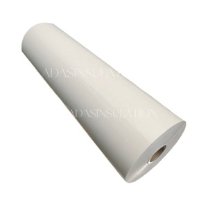 Materiali isolanti 6020 pellicola in poliestere Mylar trasparente carta isolante per animali domestici fornitore di 6021 per animali domestici Film di classe per animali domestici F - Product Image 1