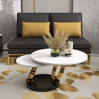 Table basse moderne en MDF de verre blanc avec socle en métal en forme d'anneau