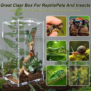 Terrario Acrílico Arbóreo Fácil de Desmontar para Arañas, Túranulas y Reptiles - Product Image 6