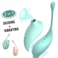 Produits sexuels pour adultes : Ensemble de vibromasseurs à succion télécommandés, incluant un œuf vibrant et un vibromasseur à succion 'Honey Bean', pour la masturbation féminine