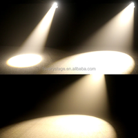 200W LED Théâtre Studio Lumière Froid Chaud Blanc LED Profil Spot Bas Prix 200w COB LED Studio Par Lumière