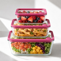 Boîte à lunch rectangulaire en verre borosilicate grande capacité, sans BPA, avec couvercles empilables, compatible congélateur et chauffable, pour le stockage des aliments