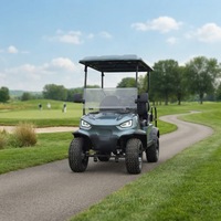 Voiturette de golf électrique 3-4 places à forte capacité de montée, buggy routier, contrôleur intelligent, vitesse 30-50 km/h, autonomie 90 km, pente de 25 degrés