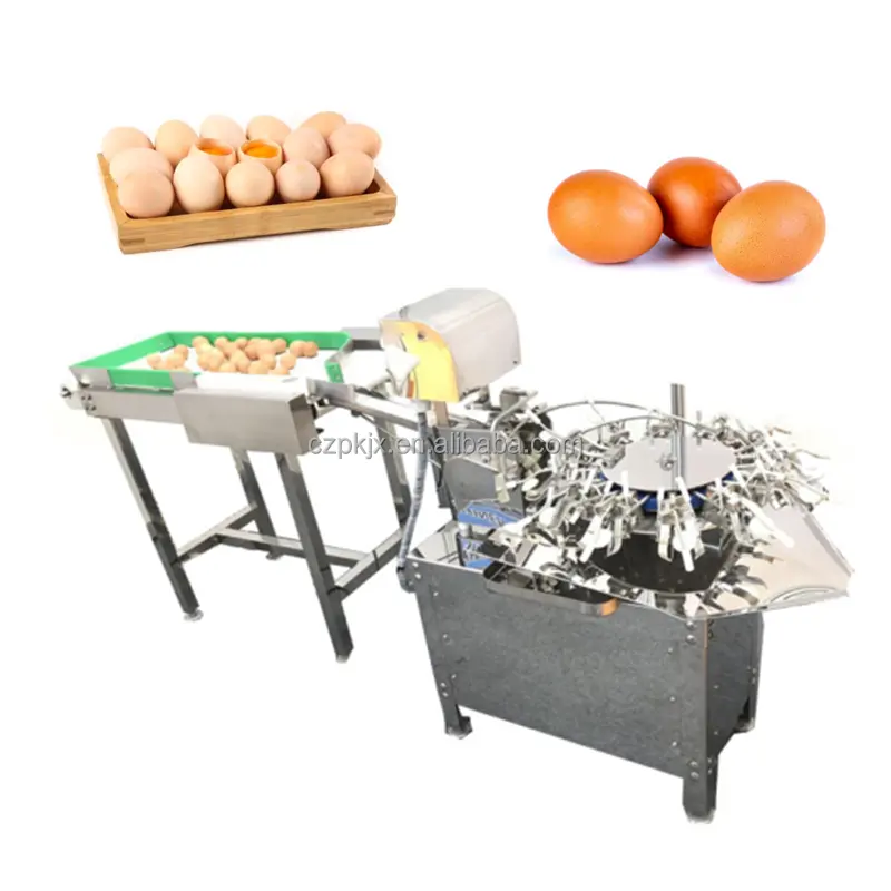 Lavadora automática de huevos a la venta/máquina de limpieza de huevos de gallina y ganso/máquina de pulverización de aceite de huevo