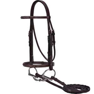 Brida de cuero para caballo con narquileras acolchadas y cabezada anatómica para doma clásica - Product Image 1