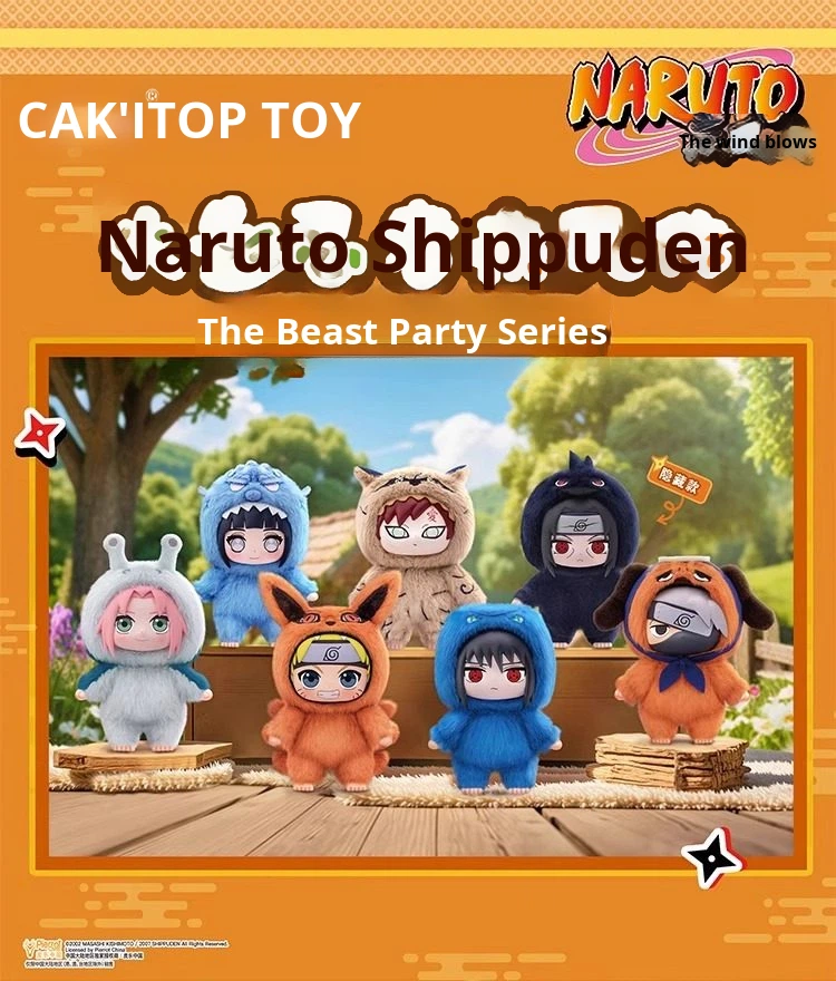 Scatola cieca - 6 pezzi = 1 scatola