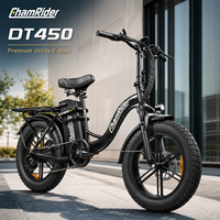 Chamrider EU Livraison Gratuite Vélo Électrique Tout-Terrain Urbain Longue Portée 250W Batterie 50AH Moteur Moyeu Arrière Frein à Disque Hydraulique