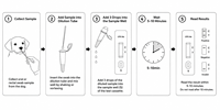 Kit de test rapide de la titer des anticorps du parvovirus canin CPV |   Contrôle de l'immunité vaccinale et surveillance des anticorps maternels |   Breeder OEM ODM